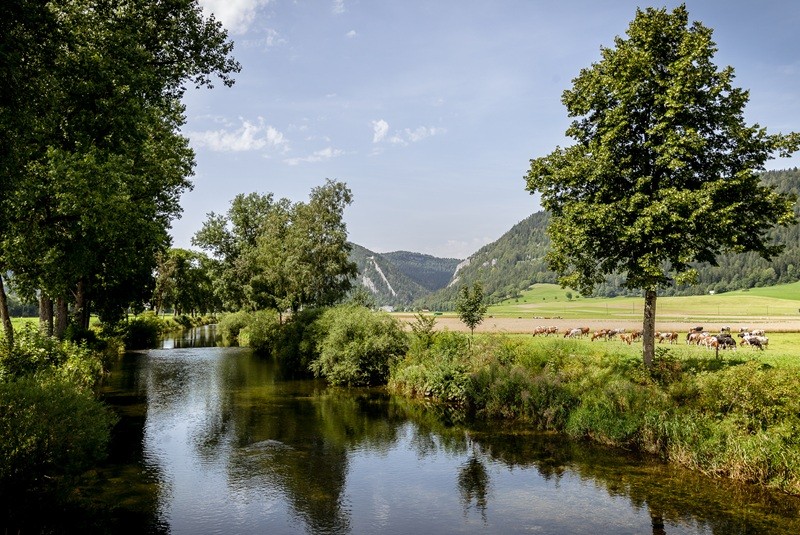 Chasse au terroir im...