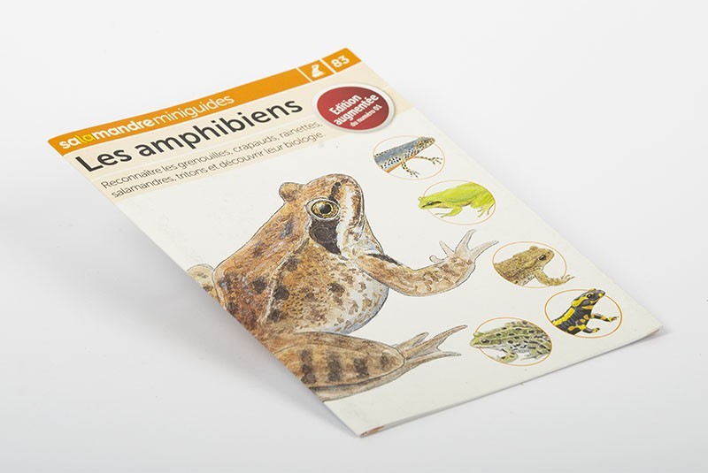 Les amphibiens | Miniguide n° 83