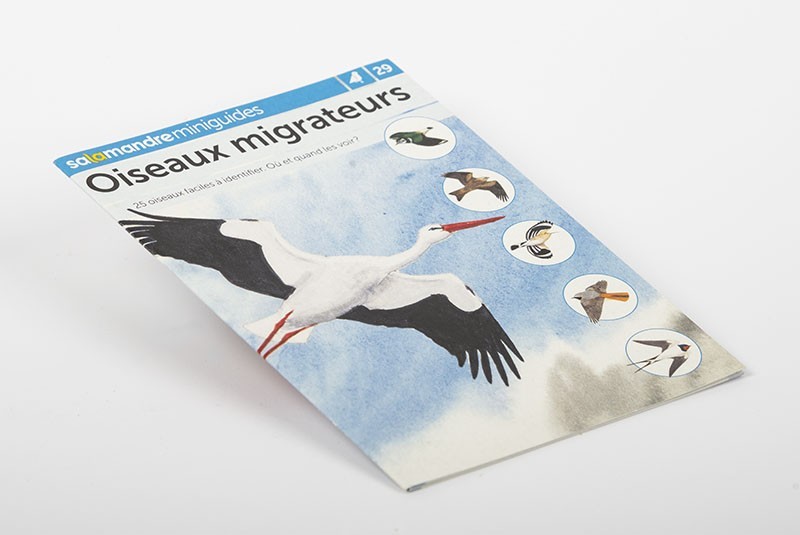 Oiseaux migrateurs | Miniguide n° 29