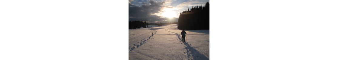 Vollmond-Schneeschuhwanderung im Val-de-Travers buchen
