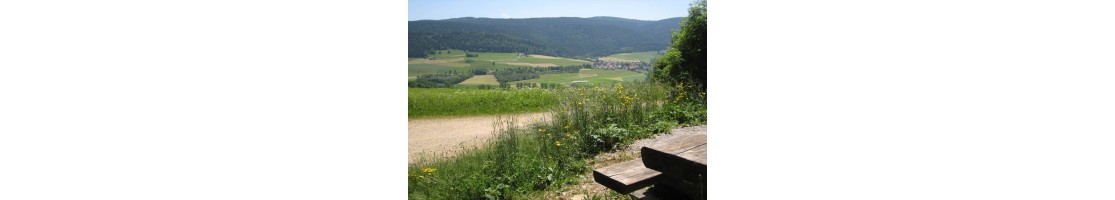 Explorez le Val-de-Travers en famille, énigme après énigme, lors d’une chasse au trésor gourmande et pleine de surprises