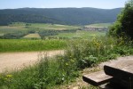 Chasse au terroir